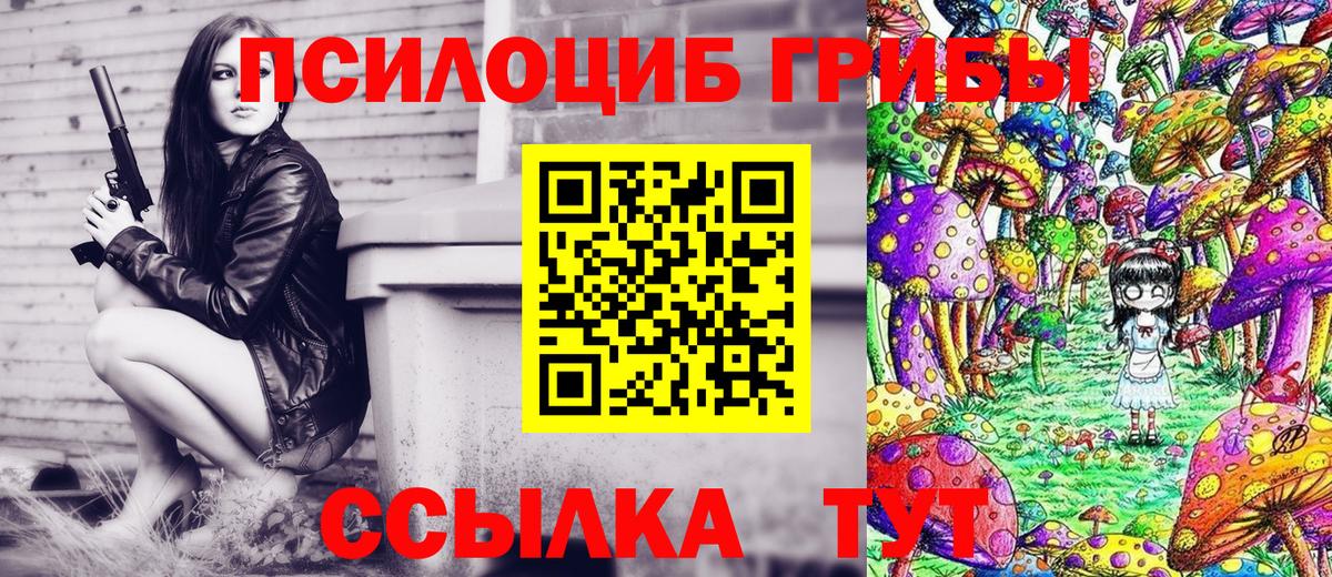Псилоцибиновые грибы прущие грибы  Вход с VPN  Галлюциногенные грибы Cubensis  Александров 